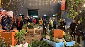 RHS urban show